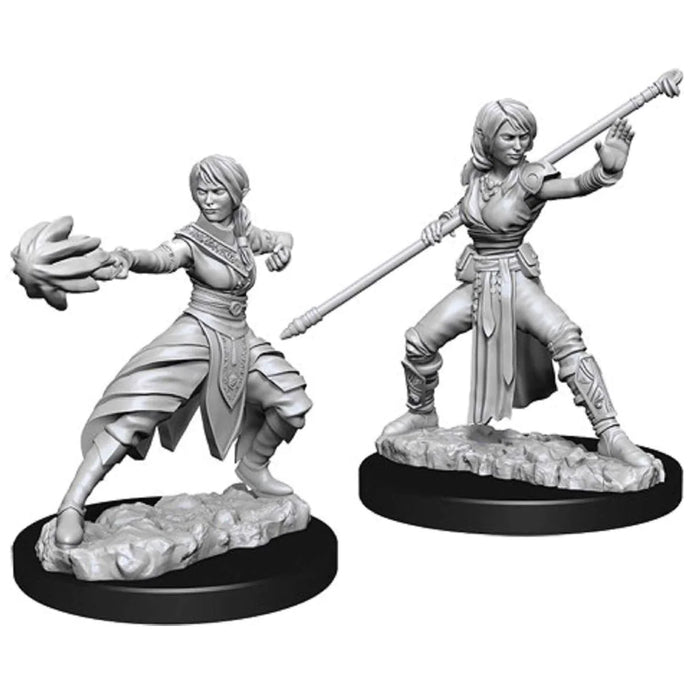 Nolzur's Marvelous Miniatures: Female Half-Elf Monk