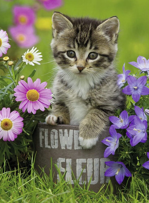 Ravensburger: Kitten among the Flowers 100pc