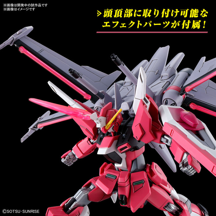 Bandai: HG 1/144 Infinite Justice Gundam Type II