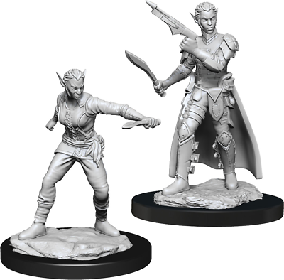 Nolzur's Marvelous Miniatures: Female Shifter Rogue