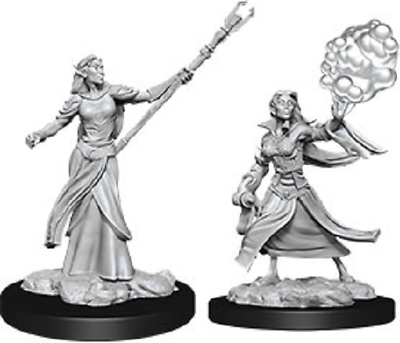 Nolzur's Marvelous Miniatures: Female Elf Sorcerer